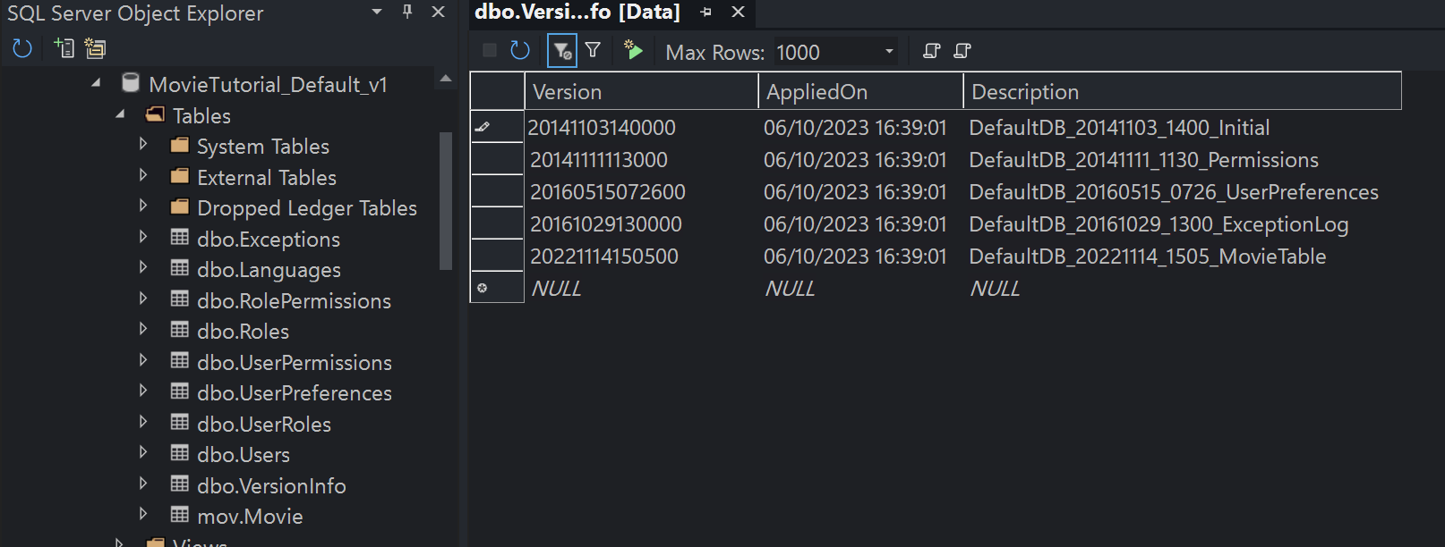 Migration VersionInfo Table
